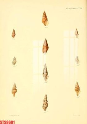 File gốc Tranh sơn dầu phương tây tổng hợp STS9601 (ảnh chi tiết) để in lụa