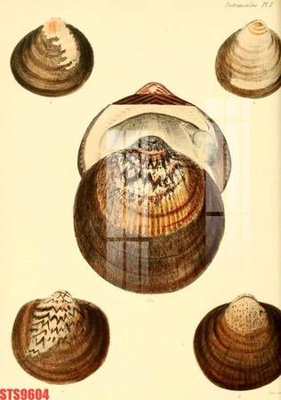 File tranh Tranh sơn dầu phương tây tổng hợp STS9604 (gốc) in film