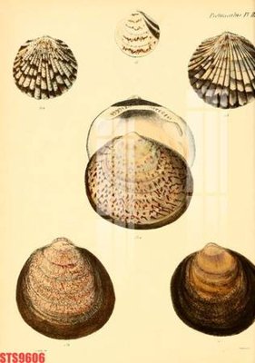 Tải file Tranh sơn dầu phương tây tổng hợp STS9606 (gốc) để in ấn ngay