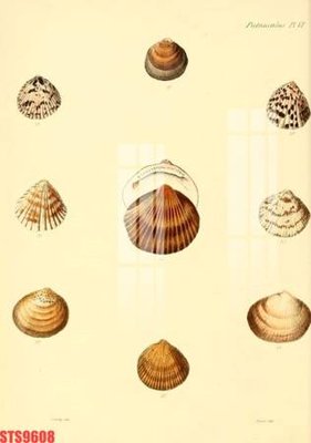 Tệp tin gốc Tranh sơn dầu phương tây tổng hợp STS9608 (chất lượng cao) Tranh sơn dầu phương tây tổng hợp STS9608