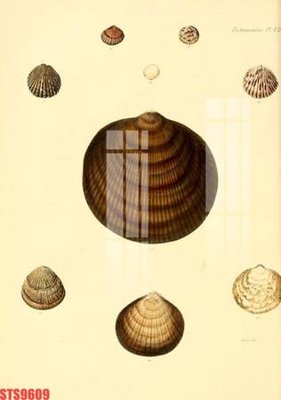 File in ấn cao cấp Tranh sơn dầu phương tây tổng hợp STS9609 (file gốc)