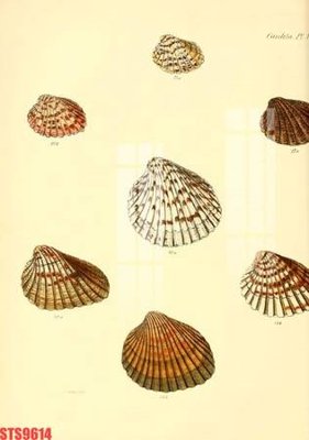 File gốc Tranh sơn dầu phương tây tổng hợp STS9614 (in ấn) không giới hạn