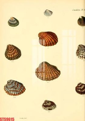 Tải file gốc Tranh sơn dầu phương tây tổng hợp STS9615 (in không vỡ ảnh)