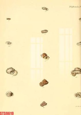 Tải file gốc Tranh sơn dầu phương tây tổng hợp STS9619 (bản PSD) đầy đủ layer