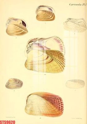 Tải file Tranh sơn dầu phương tây tổng hợp STS9620 (gốc) in tranh tráng gương