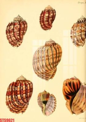 File tranh Tranh sơn dầu phương tây tổng hợp STS9621 (gốc) chủ đề thiên nhiên