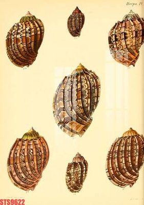 File tranh Tranh sơn dầu phương tây tổng hợp STS9622 (gốc) phong cách tối giản