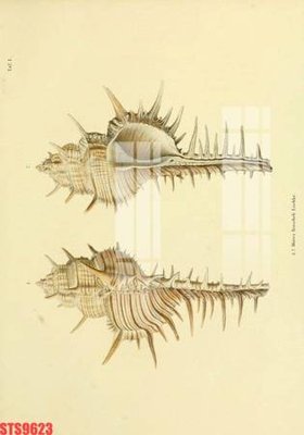 Download file gốc Tranh sơn dầu phương tây tổng hợp STS9623 (in lụa) cao cấp