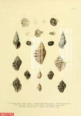 File PSD Tranh sơn dầu phương tây tổng hợp STS9624 (gốc) tách lớp chi tiết