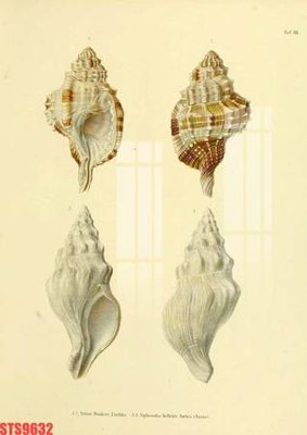 Cung cấp file tranh gốc Tranh sơn dầu phương tây tổng hợp STS9632 độc quyền