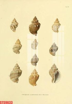 Download file Tranh sơn dầu phương tây tổng hợp STS9633 (chuẩn in) Tranh sơn dầu phương tây tổng hợp STS9633