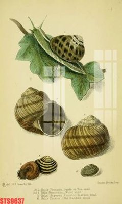 Tải file Tranh sơn dầu phương tây tổng hợp STS9637 (gốc) làm file thiết kế