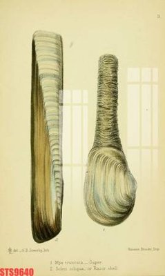 File PSD Tranh sơn dầu phương tây tổng hợp STS9640 (bản gốc) độ phân giải cao