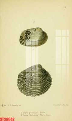 File tranh quảng cáo Tranh sơn dầu phương tây tổng hợp STS9642 (file gốc) chuyên nghiệp