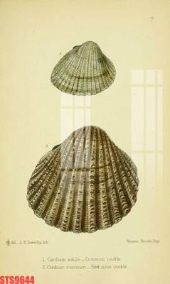 Download file Tranh sơn dầu phương tây tổng hợp STS9644 (gốc) in mica cao cấp