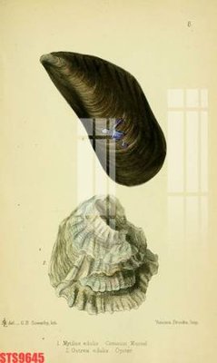 File gốc Tranh sơn dầu phương tây tổng hợp STS9645 (bản quyền) cho in ấn