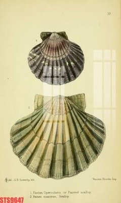 Download file Tranh sơn dầu phương tây tổng hợp STS9647 (gốc) cho xưởng in