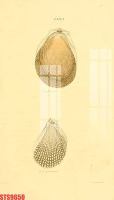 File gốc Tranh sơn dầu phương tây tổng hợp STS9650 (vector) cho in ấn