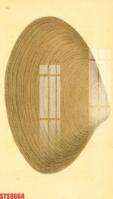 Download file tranh Tranh sơn dầu phương tây tổng hợp STS9664 (file gốc PSD)