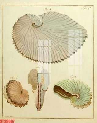 File tranh Tranh sơn dầu phương tây tổng hợp STS9667 (bản gốc) treo quán cafe