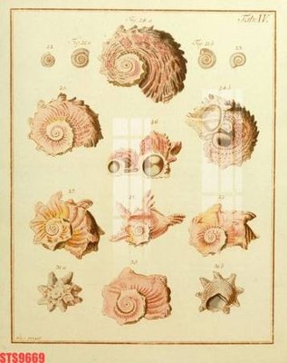 Tải file gốc Tranh sơn dầu phương tây tổng hợp STS9669 (in khổ lớn) quảng cáo