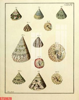 File tranh Tranh sơn dầu phương tây tổng hợp STS9670 (ảnh gốc) cho in ấn kỹ thuật số