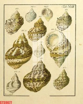 Tải file gốc Tranh sơn dầu phương tây tổng hợp STS9677 (in tráng gương) 3DFile gốc Tranh sơn dầu phương tây tổng hợp STS9677 (sẵn sàng in) chất lượng cao