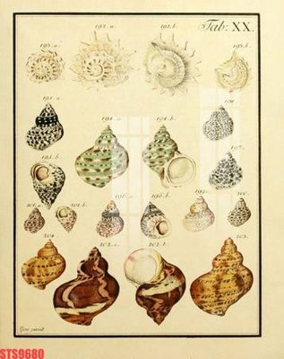 Tải file Tranh sơn dầu phương tây tổng hợp STS9680 (ảnh gốc) in tranh kính