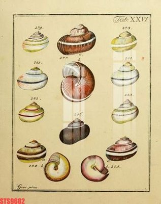 File gốc Tranh sơn dầu phương tây tổng hợp STS9682 (chuẩn CMYK) cho nhà in