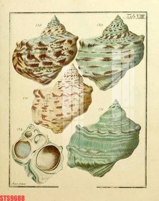 File tranh PSD Tranh sơn dầu phương tây tổng hợp STS9688 chất lượng cao