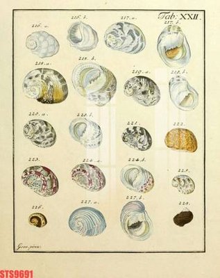 Tải file Tranh sơn dầu phương tây tổng hợp STS9691 (gốc) để in ấn ngay