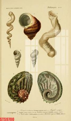 File gốc Tranh sơn dầu phương tây tổng hợp STS9700 (PSD/TIFF) độ phân giải cao