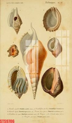 File tranh Tranh sơn dầu phương tây tổng hợp STS9706 (bản gốc) in canvas