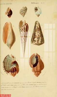 Ảnh gốc Tranh sơn dầu phương tây tổng hợp STS9707 (độ nét cao) in tráng gương