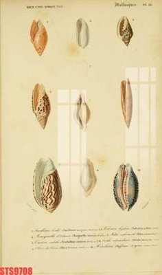 File gốc Tranh sơn dầu phương tây tổng hợp STS9708 (in ấn) không giới hạn