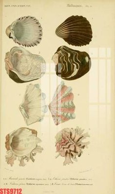 File in mica Tranh sơn dầu phương tây tổng hợp STS9712 (bản gốc) siêu trong