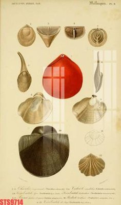 Download file gốc Tranh sơn dầu phương tây tổng hợp STS9714 (in lụa) cao cấp