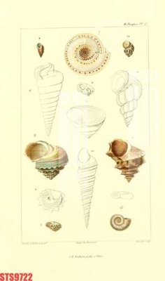 File PSD Tranh sơn dầu phương tây tổng hợp STS9722 (bản gốc) độ phân giải cao