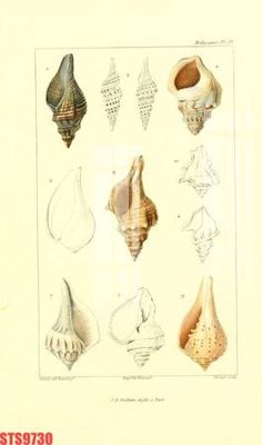 File gốc Tranh sơn dầu phương tây tổng hợp STS9730 (dành cho trang trí nội thất)