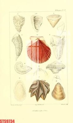 File in ấn chuyên nghiệp Tranh sơn dầu phương tây tổng hợp STS9734 (file gốc)