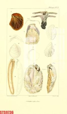 Tải file gốc Tranh sơn dầu phương tây tổng hợp STS9736 (in bạt) quảng cáo