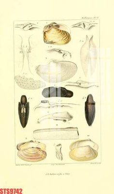 File gốc Tranh sơn dầu phương tây tổng hợp STS9742 (in 3D) nghệ thuật