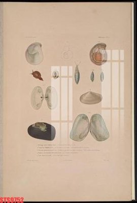 Tệp tin gốc Tranh sơn dầu phương tây tổng hợp STS9752 (dùng cho in) Tranh sơn dầu phương tây tổng hợp STS9752