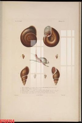 Tải file gốc in lụa Tranh sơn dầu phương tây tổng hợp STS9754 siêu nét