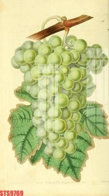 File tranh Tranh sơn dầu phương tây tổng hợp STS9769 (gốc) in trên kính