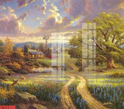 File tranh Tranh sơn dầu phương tây tổng hợp STS9906 (gốc) chủ đề trừu tượng