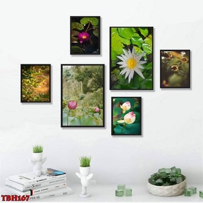 Cung cấp file tranh gốc File tranh bộ 6 tấm hoa sen hoa hướng dương TBH167 độc quyền
