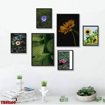File tranh File tranh bộ 6 tấm hoa sen hoa hướng dương TBH169 (ảnh gốc) không bị mờ