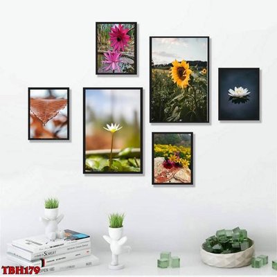 Tải file File tranh bộ 6 tấm hoa sen hoa hướng dương TBH179 (gốc) in tranh tráng gương
