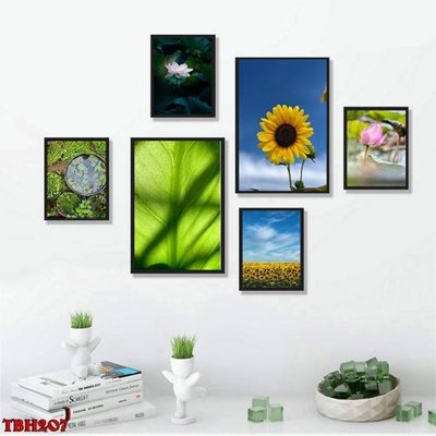 Tải file File tranh bộ 6 tấm hoa sen hoa hướng dương TBH207 (ảnh gốc) 300dpi File tranh bộ 6 tấm hoa sen hoa hướng dương TBH207